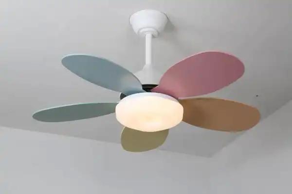 新品_2024年精品扇叶
