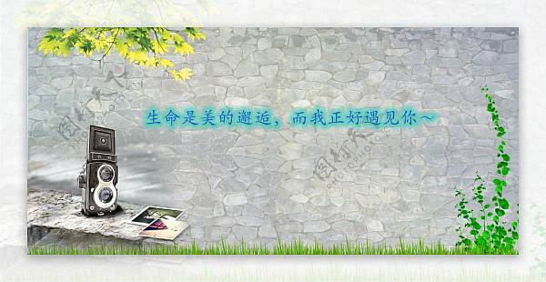 你的名字_毕业照