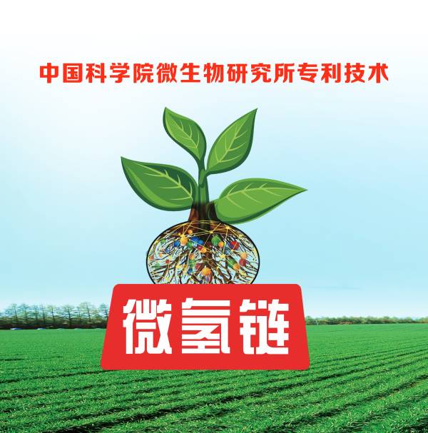 中仓集团_中仓生态产品画册
