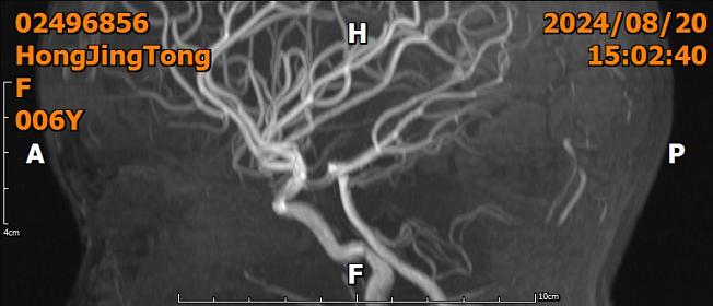 13606079123_2024-08B