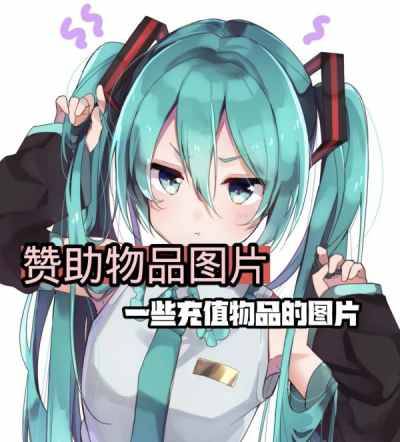 服务器赞助列表_一些赞助物品