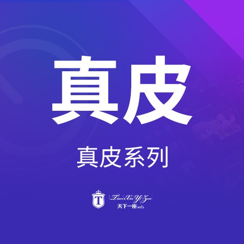 天下一座产品册_5 真皮系列