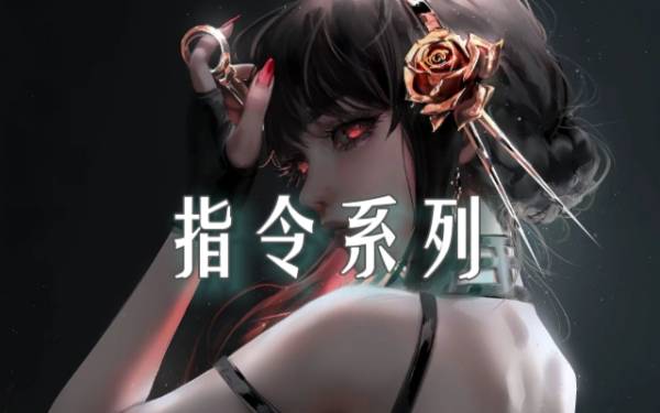 -诗白导入相册-_1.精品指令系列