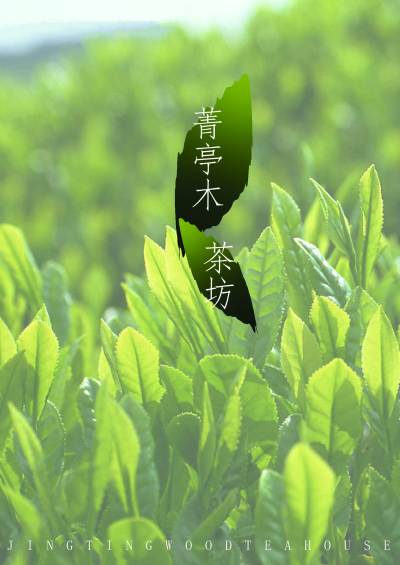 tuse_茶叶