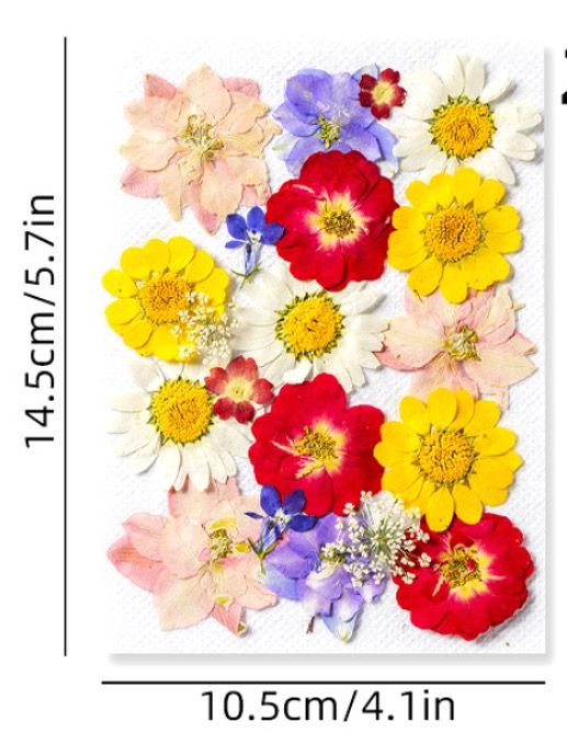 Craft filling materials-Dried flower-press dried flower-25pieces:pack_INTODIY