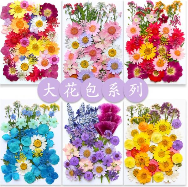 Craft filling materials-Dried flower-press dried flower_INTODIY
