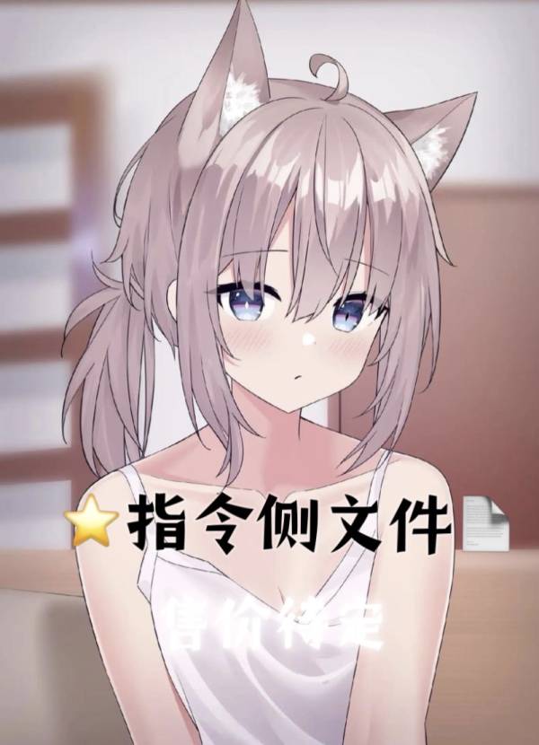 路国策的神秘图册_⭐指令侧文件📄