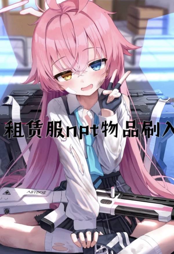 路国策的神秘图册_租赁服盒子代刷npt物品服务