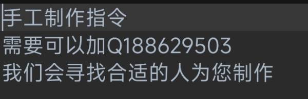 QS的世界_自定义指令区