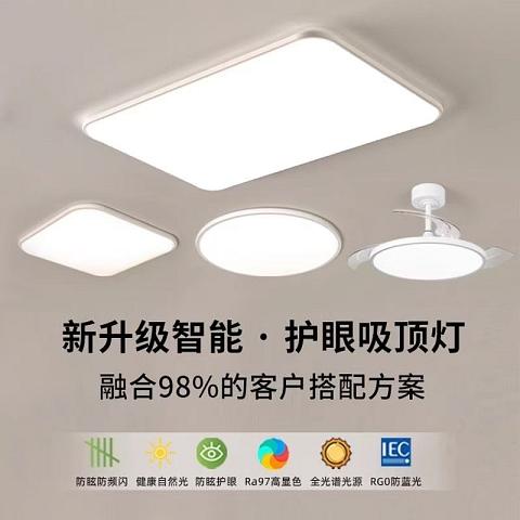 湾顺装饰家具图册_灯具