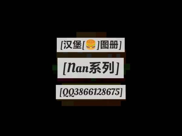 租赁服导入★感谢使用_3..NAN系列