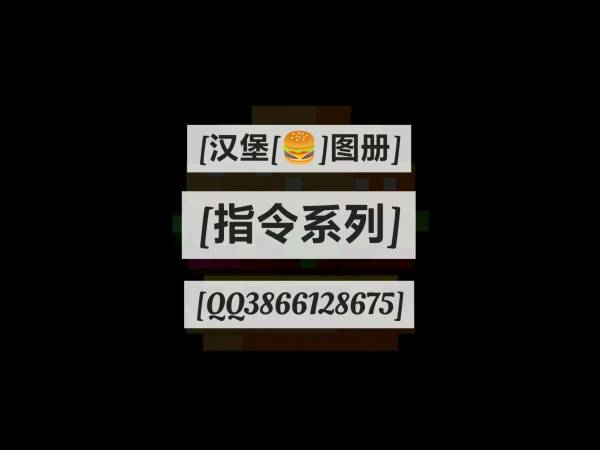租赁服导入★感谢使用_4..优质指令