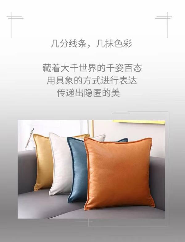 悦美家居&美雅格家居_抱枕