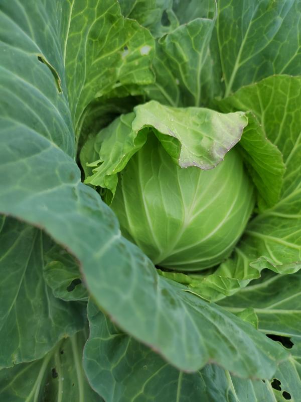 宠意缘_别人的