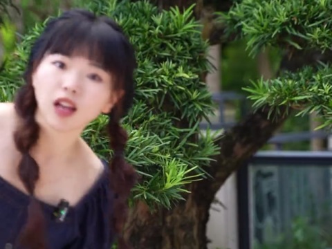 YGAOR永高人_永高人自媒体视频宣传