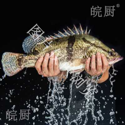 小莲湖鱼市_商品详情