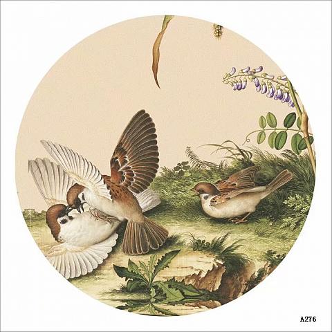 圆型纱画选图_花草类