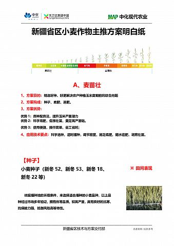 Infinity_6.28新疆省区小麦主推方案技术明白纸