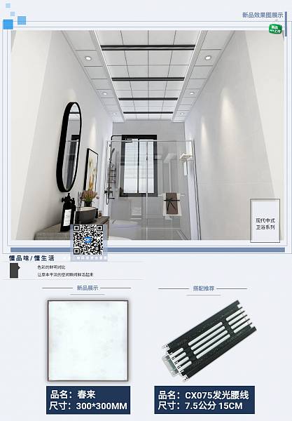 广西同创建材_卫生间天花